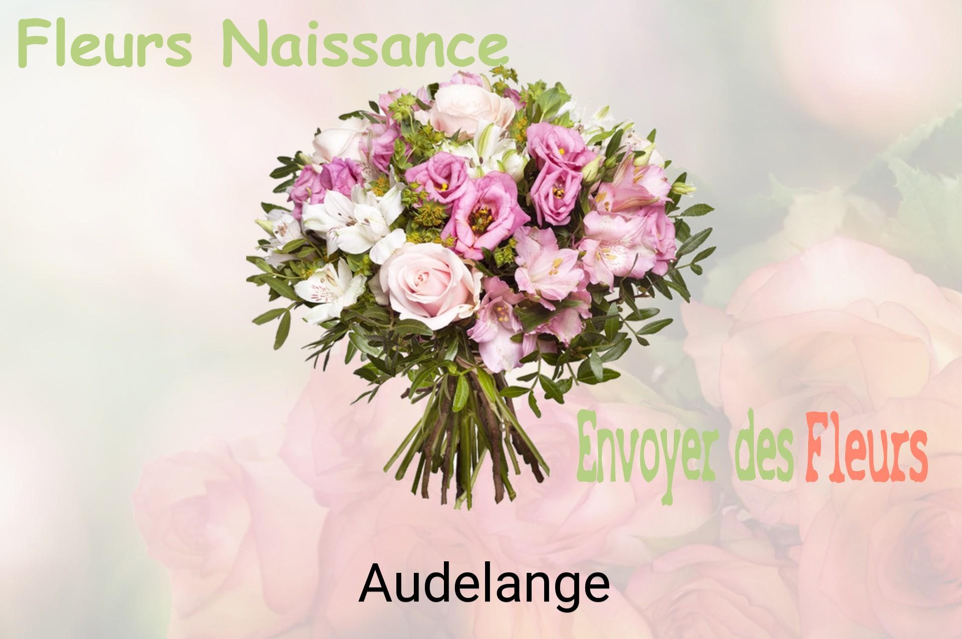 Bouquet de fleurs de naissance livré à Audelange