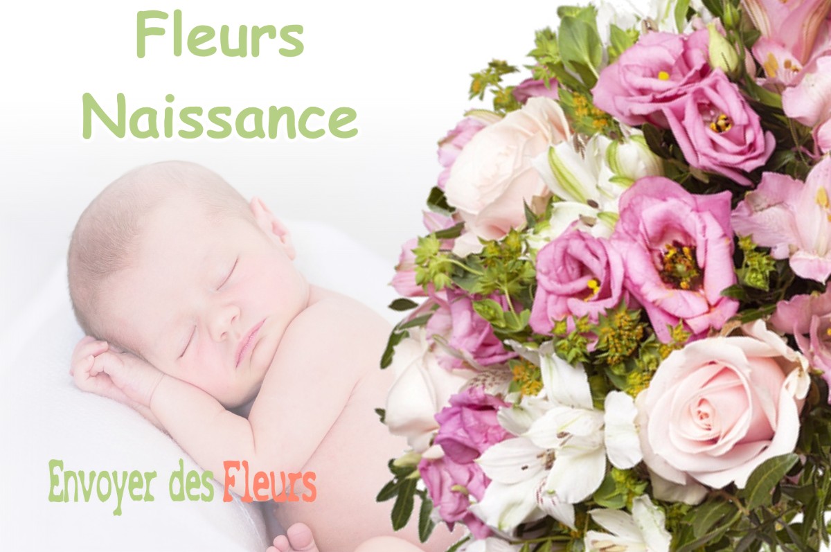 lIVRAISON FLEURS NAISSANCE à AUDELANGE