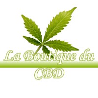 LA BOUTIQUE DU CBD AUDELANGE 